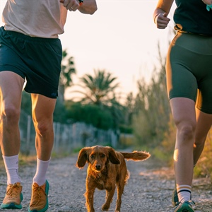 Does Your Dog Need More Exercise—or a Bigger Life?