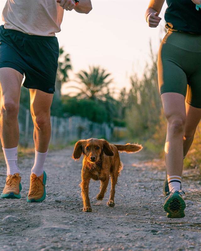 Does Your Dog Need More Exercise—or a Bigger Life?
