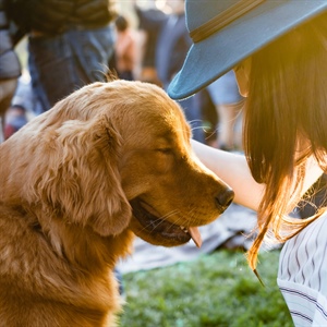 Did I Socialize My Dog TOO Much? How I Accidentally Helped Create a Reactive Dog
