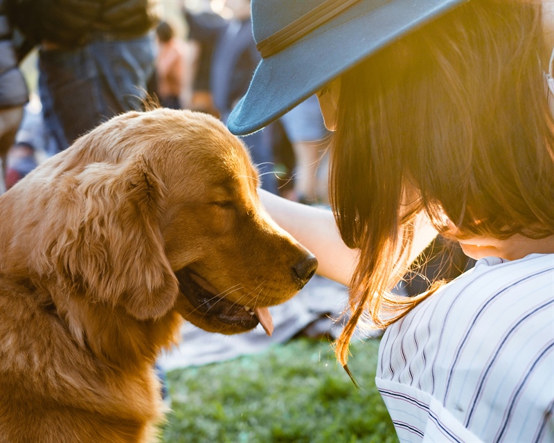 Did I Socialize My Dog TOO Much? How I Accidentally Helped Create a Reactive Dog
