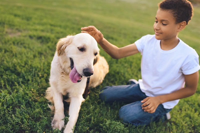 Unlocking the Secrets of Dog Socialization: A Comprehensive Guide