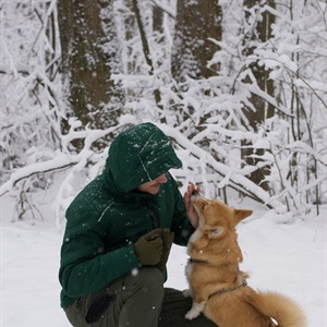 Mental Exercise Is Real Exercise (And Why Your Dog Needs It More in Winter)