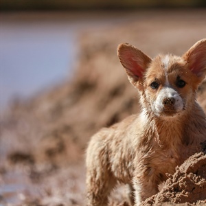 Are You Accidentally Rewarding the Wrong Behavior?