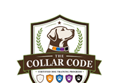 Introducing The Collar Code™️: A Clearer Way to Understand Your Dog’s Training Progress