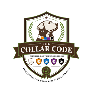 Introducing The Collar Code™️: A Clearer Way to Understand Your Dog’s Training Progress