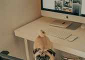 Can Online Dog Training Really Help My Dog?