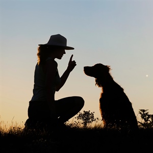 How to Choose the Best Dog Trainer Near Me: 10 Questions to Ask Before You Enroll