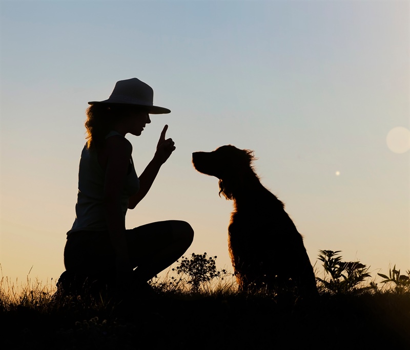 How to Choose the Best Dog Trainer Near Me: 10 Questions to Ask Before You Enroll