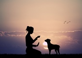 My Puppy Is Driving Me Crazy: What to Do When Your Dog Barks and Jumps at Everything
