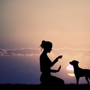 My Puppy Is Driving Me Crazy: What to Do When Your Dog Barks and Jumps at Everything
