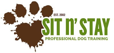 Sit n' Stay Dog Training | Buffalo NY, Dog Training, Dog Walking