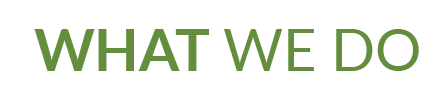 Services offered by Sit n' Stay Professional Dog Training, Buffalo NY Services offered by Sit n' Stay Professional Dog Training, Buffalo NY
