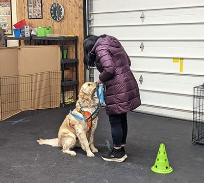 Reactive Dog Training Reactive Dog Training