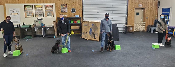 Reactive Dog Training Reactive Dog Training