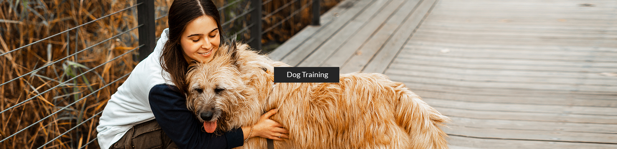 Dog Training - Sit n' Stay Professional Dog Training
